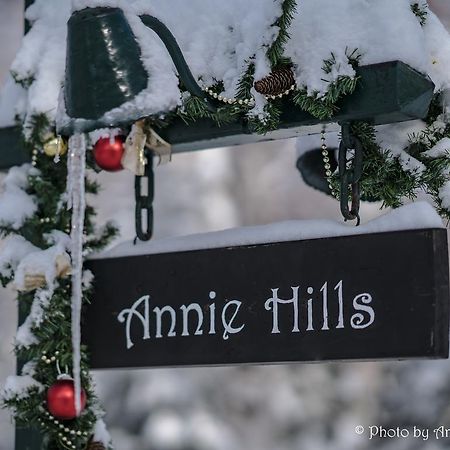 Annie Hills Bed & Breakfast Tateshina  Dış mekan fotoğraf