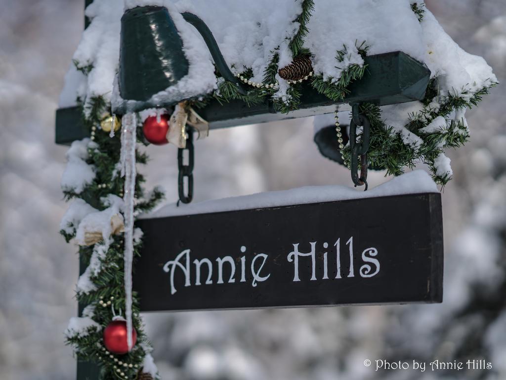 Annie Hills Bed & Breakfast Tateshina  Dış mekan fotoğraf