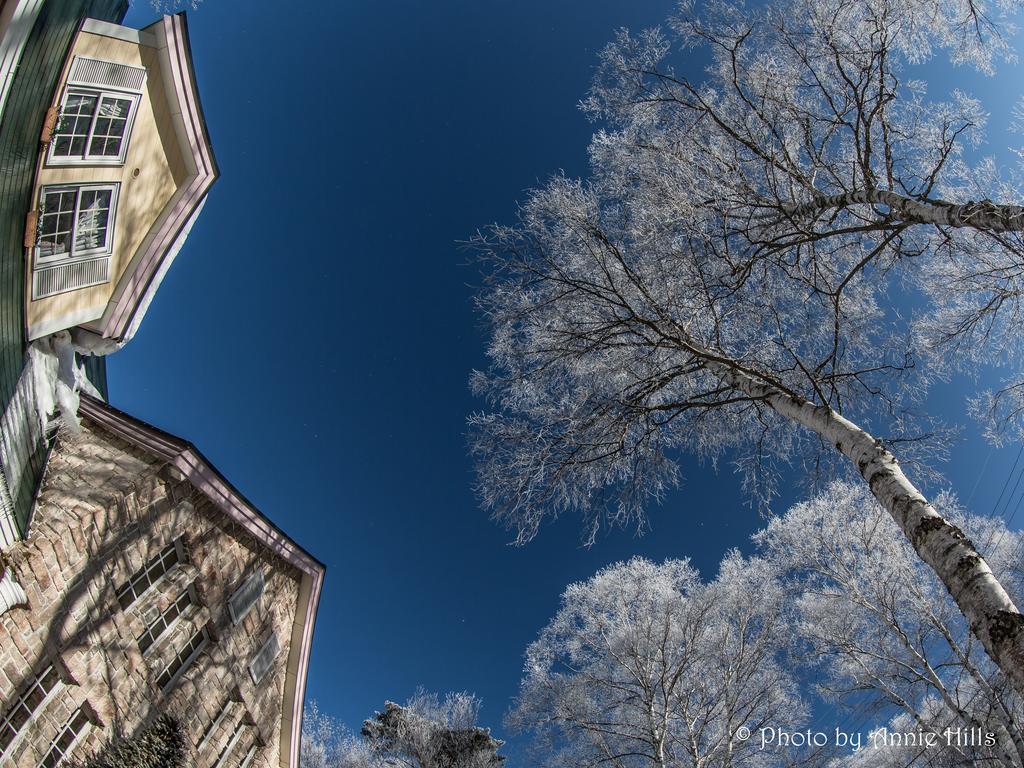 Annie Hills Bed & Breakfast Tateshina  Dış mekan fotoğraf
